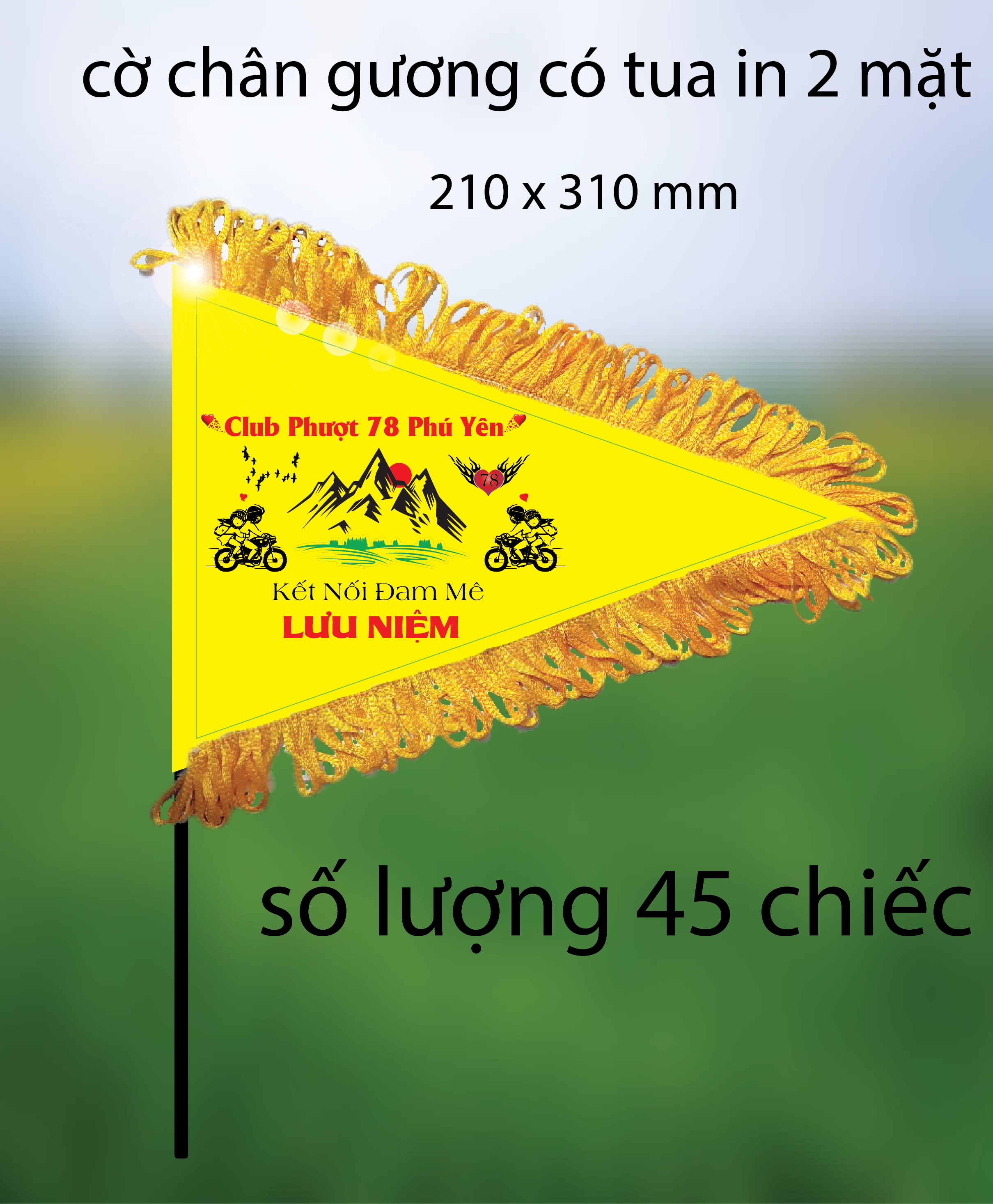 cờ chân gương-01
